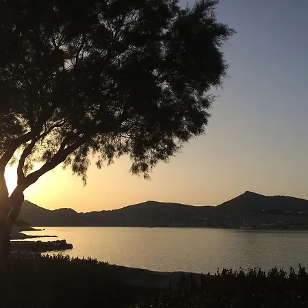 Almira Suites - Seafront - Naousa Paros-3