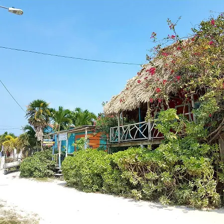 Sea Dreams Hotel-3
