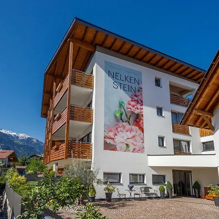 Residence Apartment Nelkenstein-2