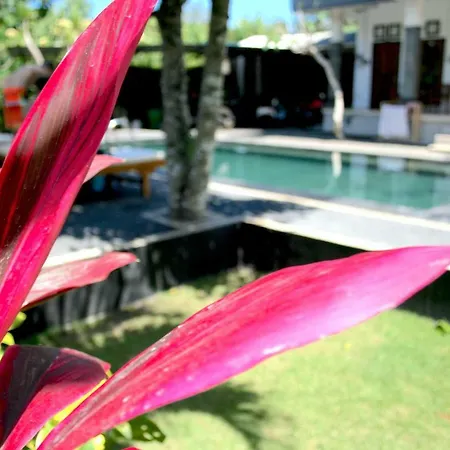 Uluwatu Made Guesthouse-3