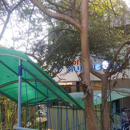 Treebo Blue Moon Powai-3