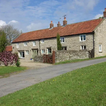 Pond Farm-3