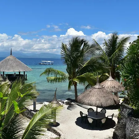 Dolphin House Resort Moalboal-3