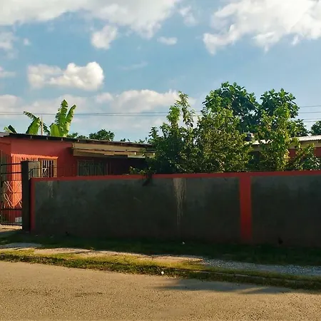 Yard Style-2