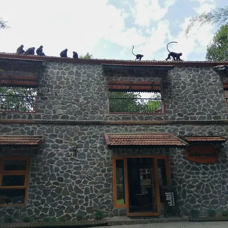 Wildernest-3