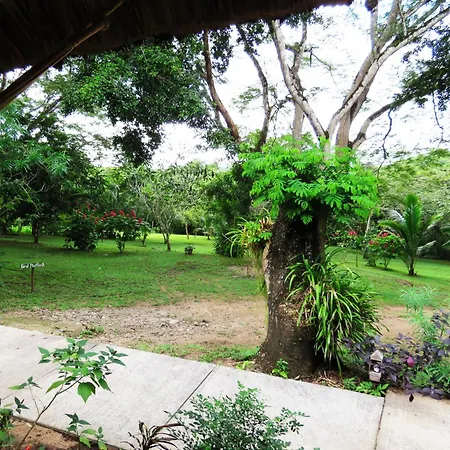 Crystal Paradise Resort-2