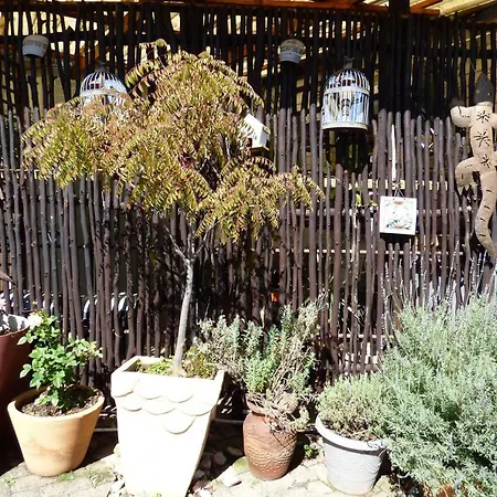 Pennylane Guest House-2