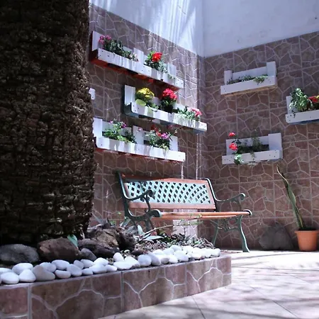 The Garden Hostel Las Palmas-2