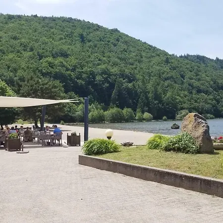 Hôtel Domaine du Lac Chambon-3