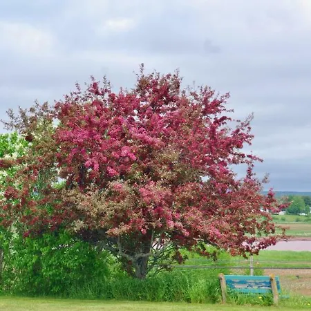 Tidal Bore Inn-3