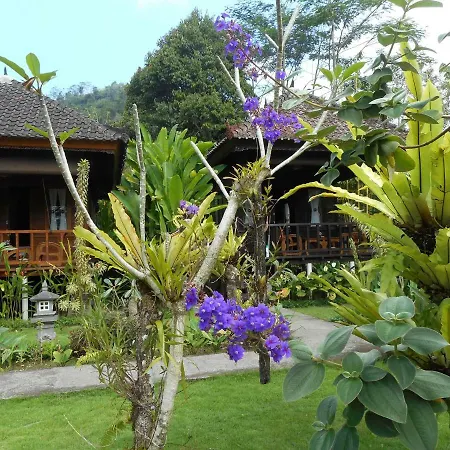 Kubu Alas Tunggal Villa-2