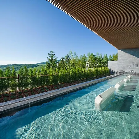 Rusutsu Resort Hotel & Convention-3