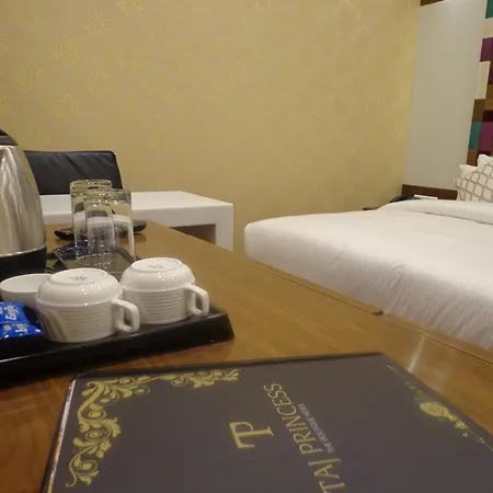 Hotel Taj Princess - Boutique Hotel-2