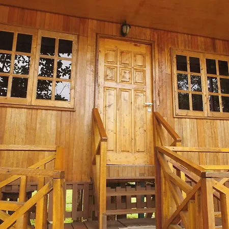 Borneo Tree House-3