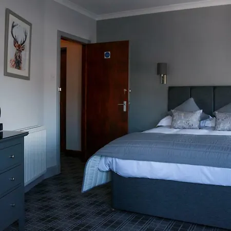 The Royal Hotel-3