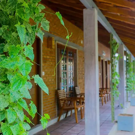 Olinia Airport Hotel-2
