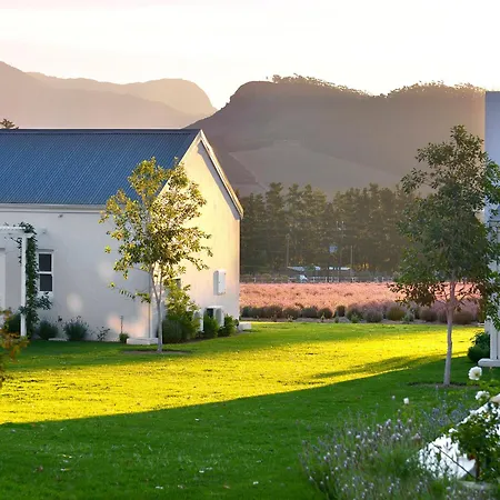 Lavender Farm Boutique Guest House-3