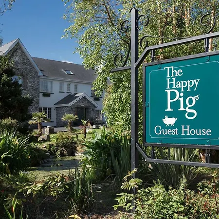 The Happy Pig-3