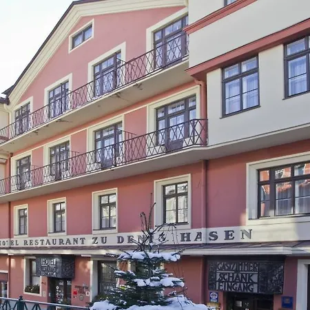 Hotel-Restaurant Drei Hasen-2