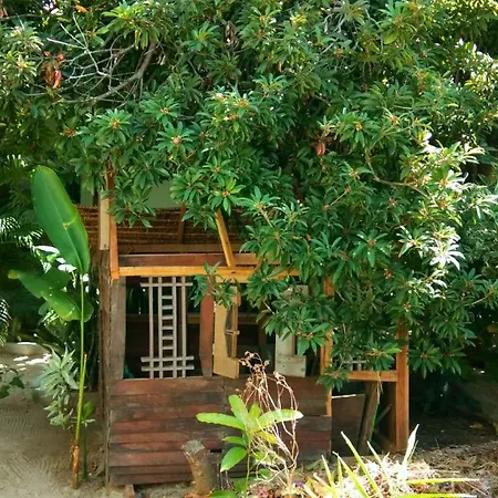 Cafe Des Arts Gili Air-3