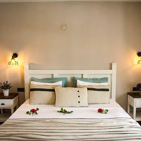 Bi Salkım Bozcaada Otel-2
