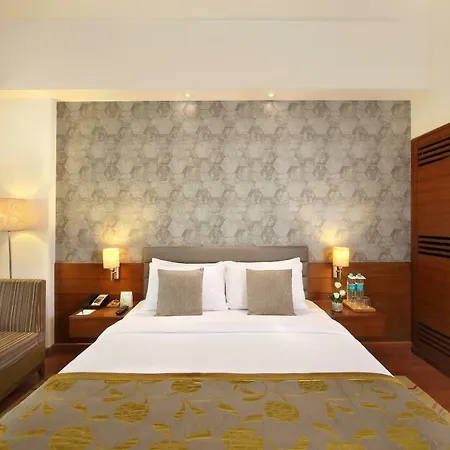 Hotel Maurya Patna-3