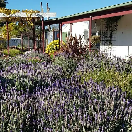 Clunes Motel-2
