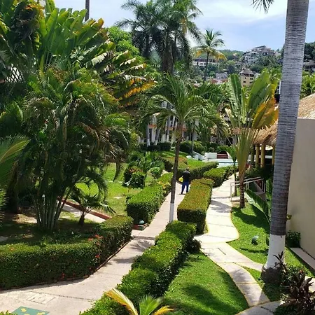 El Tropicano-2