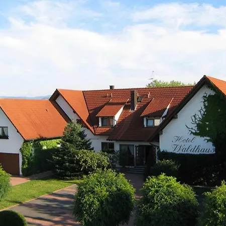 Hotel Waldhaus-3