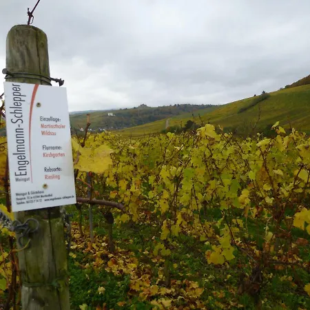 Weingut&Bioland Gästehaus Engelmann-Schlepper-2