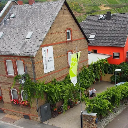 Weingut&Bioland Gästehaus Engelmann-Schlepper-3