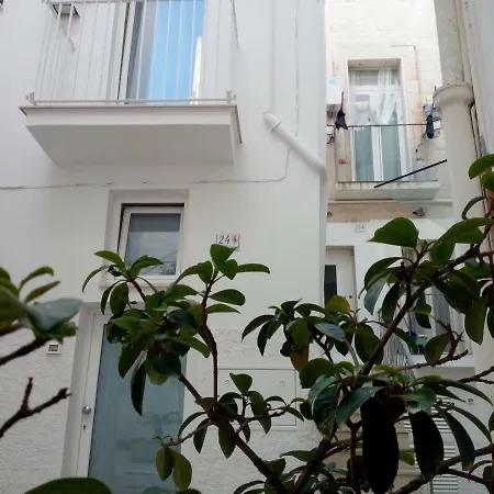Casa Mina-2