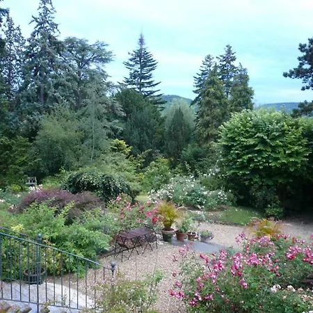 La Pluie de Roses-3