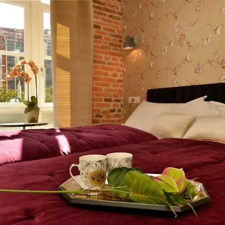 Center Suite Santander-2