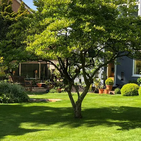 The Elms Guest House Bristol-2