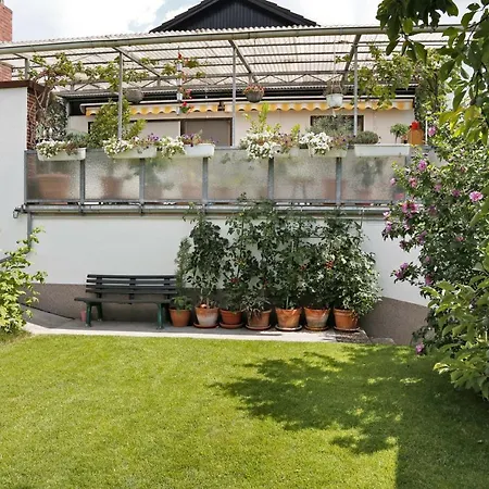 Gästehaus Schäfer-2