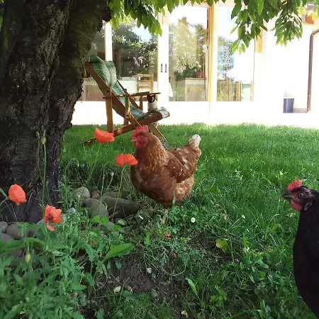 “Al Campo”-3