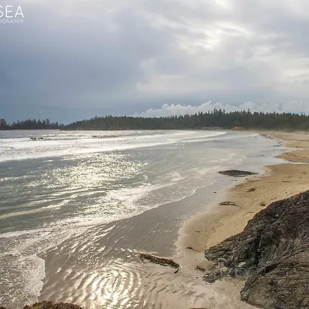 Sounds Of The Sea-2