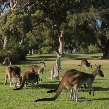 Eastern Hill Creswick-2