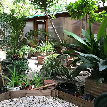 La Casa Di Elena-3