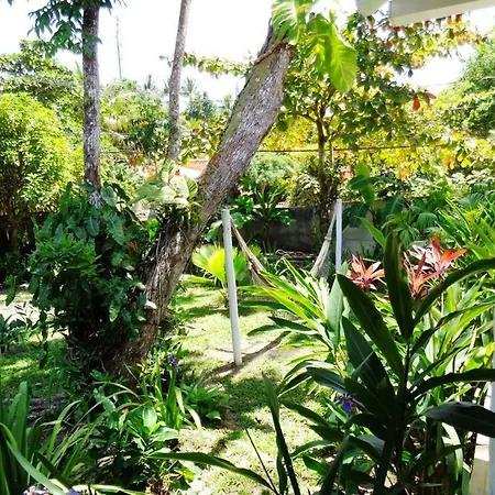 Casa das Arvores-3
