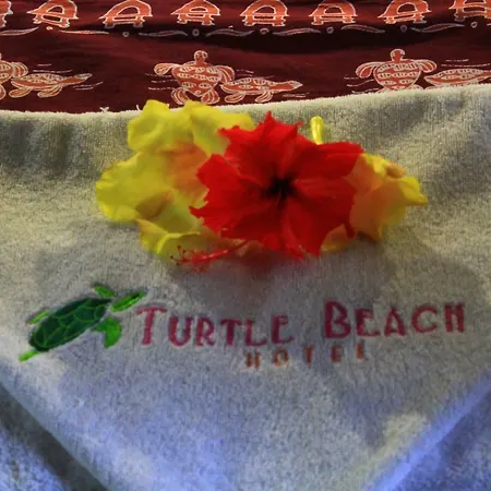 Turtle Beach Hotel-3