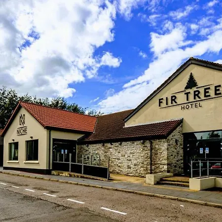 Fir Trees Hotel-2