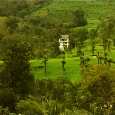 Gokulam Park Munnar-2