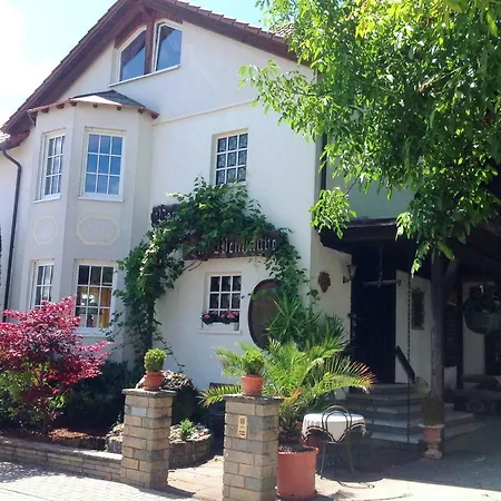 Pension zur Weinlaube-3