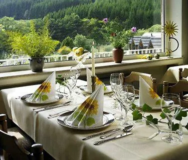 Hotel Haus Kylltal-2