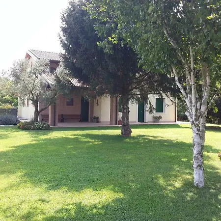 “Al Campo”-2