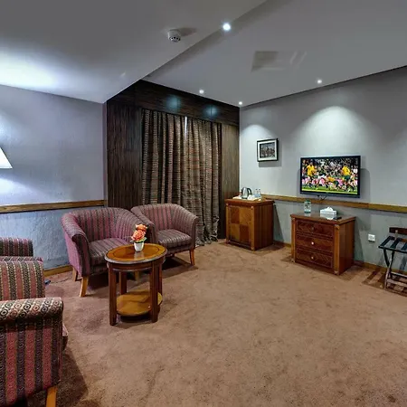 Delmon Palace Hotel-3
