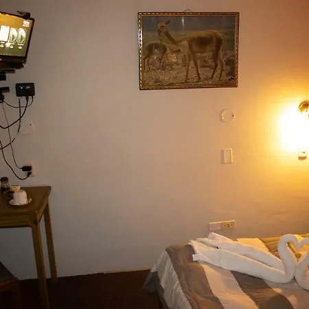 Pacha Suite-3
