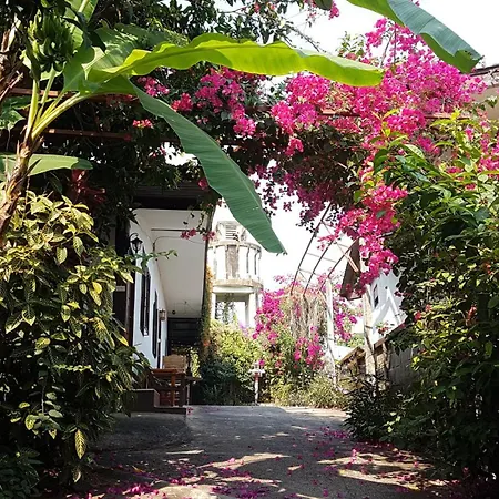 Boondee House-2